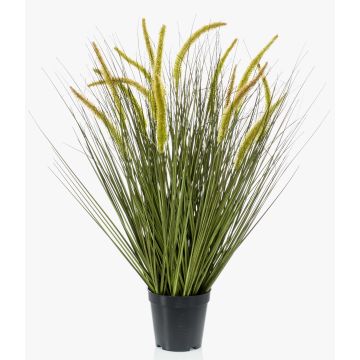 Erba di coda di volpe decorativa CAREL con pannocchie, verde, 70cm