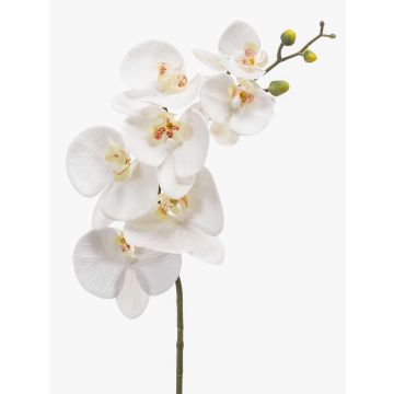 Ramo di orchidea Phalaenopsis di plastica NEITH, bianco, 85cm Ramo di orchidea Phalaenopsis di plastica NEITH, bianco, 85cm