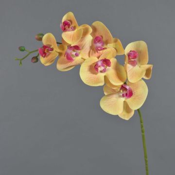 Ramo decorativo di orchidea Phalaenopsis NEITH, rosa-arancione, 85cm Ramo decorativo di orchidea Phalaenopsis NEITH, rosa-arancione, 85cm