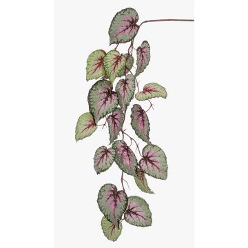 Ramo di begonia rex finta MEIRA, verde-rosa, 110cm