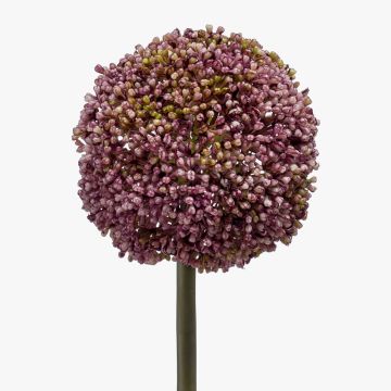Allium finto BOUTROS, viola, 75cm Allium finto BOUTROS, viola, 75cm