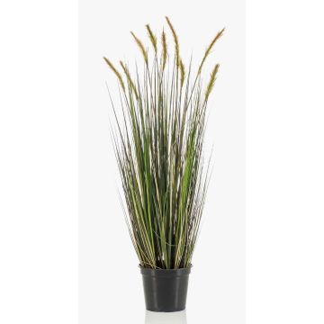 Erba di coda di volpe decorativa ANAELLA con pannocchie, verde, 90cm
