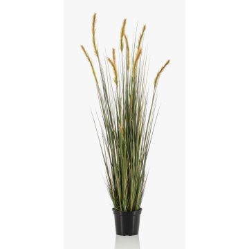 Erba di coda di volpe decorativa ANAELLA con pannocchie, verde, 120cm