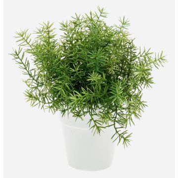 Erbe aromatiche artificiali Asparagus sprengeri JOSHUA in vaso di ceramica, 20 cm, Ø 17 cm Erbe aromatiche artificiali Asparagus sprengeri JOSHUA in vaso di ceramica, 20 cm, Ø 17 cm