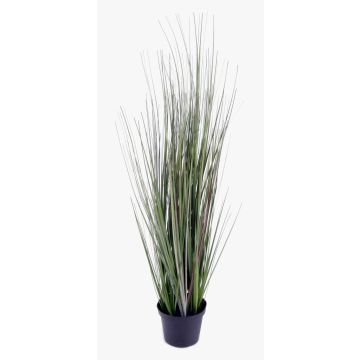 Erba coda di volpe finta SAMMI, verde, 50cm
