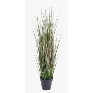 Erba coda di volpe finta SAMMI, verde, 65cm