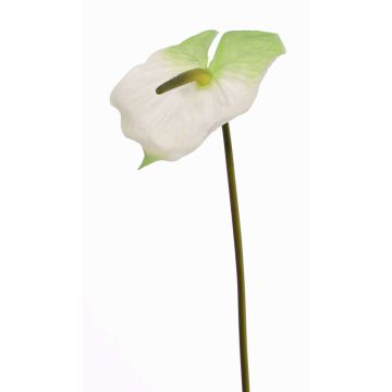 Fiore artificiale "Flamingo" MOIRA, bianco-verde, 75 cm, 13x18 cm Fiore artificiale "Flamingo" MOIRA, bianco-verde, 75 cm, 13x18 cm