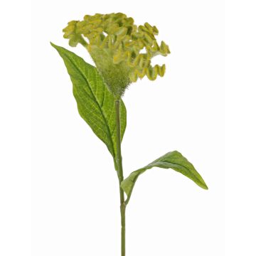 Fiore artificiale cresta di gallo ANUBIS, verde-giallo, 60 cm, Ø 14 cm Fiore artificiale cresta di gallo ANUBIS, verde-giallo, 60 cm, Ø 14 cm