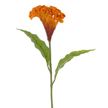 Fiore artificiale cresta di gallo ANUBIS, arancione, 60 cm, Ø 14 cm Fiore artificiale cresta di gallo ANUBIS, arancione, 60 cm, Ø 14 cm
