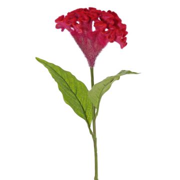 Fiore artificiale cresta di gallo ANUBIS, viola-rosso, 60 cm, Ø 14 cm Fiore artificiale cresta di gallo ANUBIS, viola-rosso, 60 cm, Ø 14 cm