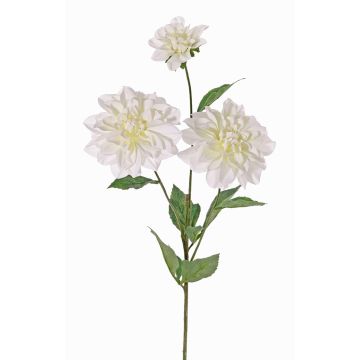 Fiore decorativo dalia ANJULIKA, bianco, 75 cm, Ø 6-12 cm Fiore decorativo dalia ANJULIKA, bianco, 75 cm, Ø 6-12 cm