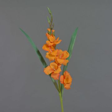 Gladio decorativo ELEA, arancione, 80 cm, Ø 7-9 cm