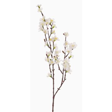 Ramo di fiori di ciliegio artificiale ARIELLE con fiori, bianco, 75cm, Ø1,5-3,5cm Ramo di fiori di ciliegio artificiale ARIELLE con fiori, bianco, 75cm, Ø1,5-3,5cm