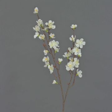 Ramo di fiori di ciliegio artificiale ARIELLE con fiori, bianco, 75 cm, Ø 1,5-3,5 cm Ramo di fiori di ciliegio artificiale ARIELLE con fiori, bianco, 75 cm, Ø 1,5-3,5 cm