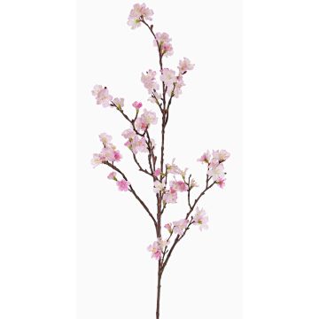 Ramo di fiori di ciliegio artificiale ARIELLE con fiori, rosa-fucsia, 100cm, Ø1,5-3,5cm Ramo di fiori di ciliegio artificiale ARIELLE con fiori, rosa-fucsia, 100cm, Ø1,5-3,5cm