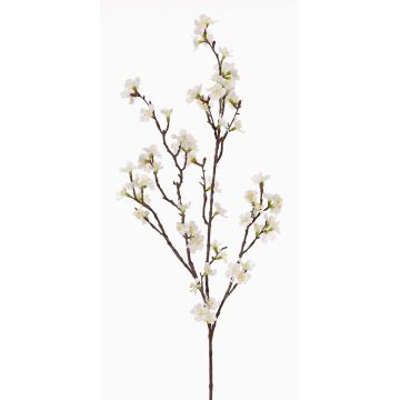 Fiori artificiali: ramo di ciliegio in fiore ARIELLE con fiori, bianco, 100cm, Ø1,5-3,5cm Fiori artificiali: ramo di ciliegio in fiore ARIELLE con fiori, bianco, 100cm, Ø1,5-3,5cm