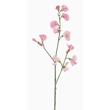Fiore decorativo Lathyrus ASFALOTH, rosa, 65cm, Ø3-5cm Fiore decorativo Lathyrus ASFALOTH, rosa, 65cm, Ø3-5cm