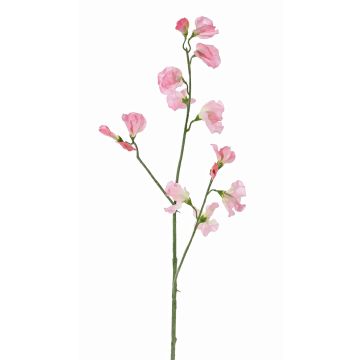 Fiore decorativo Lathyrus ASFALOTH, rosa, 65 cm, Ø 3-5 cm Fiore decorativo Lathyrus ASFALOTH, rosa, 65 cm, Ø 3-5 cm