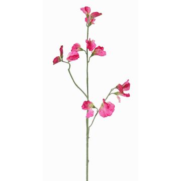 Fiore decorativo Lathyrus ASFALOTH, fucsia, 65cm, Ø3-5cm Fiore decorativo Lathyrus ASFALOTH, fucsia, 65cm, Ø3-5cm