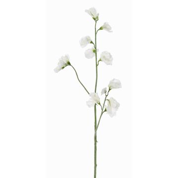 Fiore decorativo Lathyrus ASFALOTH, bianco, 65cm, Ø3-5cm