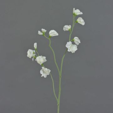 Fiore decorativo Lathyrus ASFALOTH, bianco, 65 cm, Ø 3-5 cm Fiore decorativo Lathyrus ASFALOTH, bianco, 65 cm, Ø 3-5 cm