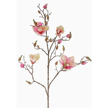 Magnolia artificiale LORA, rosa crema, 110 cm, Ø 10-12 cm Magnolia artificiale LORA, rosa crema, 110 cm, Ø 10-12 cm