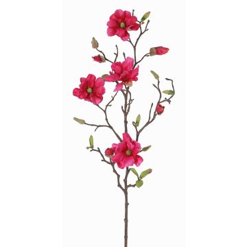 Magnolia decorativa MARGA, fucsia, 80cm, Ø7-8cm Magnolia decorativa MARGA, fucsia, 80cm, Ø7-8cm