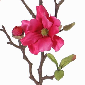 Magnolia decorativa MARGA, rosa, 80 cm, Ø 7-8 cm