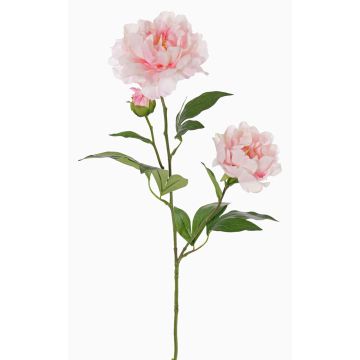 Peonia sintetica ONYX, crema-rosa, 75cm, Ø10-13cm Peonia sintetica ONYX, crema-rosa, 75cm, Ø10-13cm