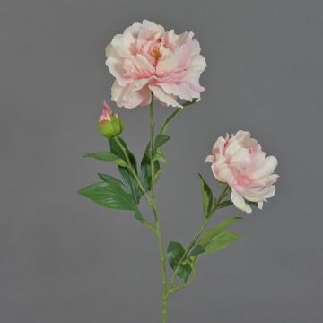 Peonia artificiale ONYX, rosa crema, 75 cm, Ø 10-13 cm Peonia artificiale ONYX, rosa crema, 75 cm, Ø 10-13 cm