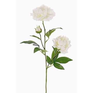 Peonia sintetica ONYX, crema-bianco, 75cm, Ø10-13cm Peonia sintetica ONYX, crema-bianco, 75cm, Ø10-13cm