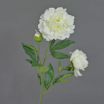 Peonia artificiale ONYX, bianco crema, 75 cm, Ø 10-13 cm Peonia artificiale ONYX, bianco crema, 75 cm, Ø 10-13 cm