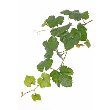 Ramo di vite artificiale BJON, crossdoor, verde, 60 cm