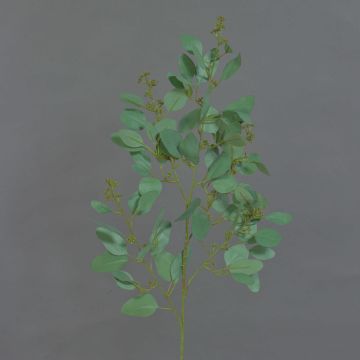 Ramo decorativo di eucalipto COBAR, in fiore, crossdoor, verde, 65 cm, Ø 1,5 cm