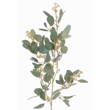 Ramo decorativo di eucalipto COBAR, in fiore, crossdoor, verde, 65cm, Ø1,5cm