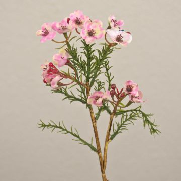 Fiore di cera artificiale AISHA, rosa, 27 cm, Ø 1-1,5 cm Fiore di cera artificiale AISHA, rosa, 27 cm, Ø 1-1,5 cm