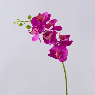 Ramo decorativo di orchidea Phalaenopsis OPHELIA, rosa shocking, 80 cm, Ø 8-9 cm Ramo decorativo di orchidea Phalaenopsis OPHELIA, rosa shocking, 80 cm, Ø 8-9 cm