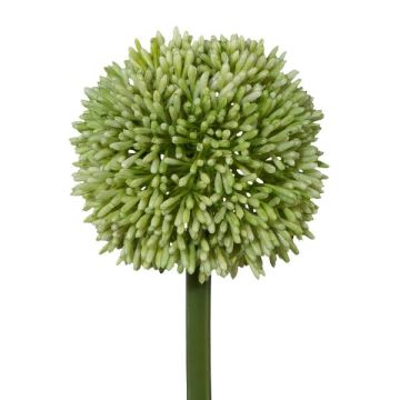 Fiore artificiale Allium MENKES, verde, 65 cm