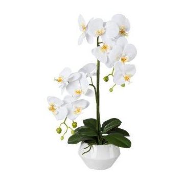 Orchidea Phalaenopsis artificiale KASDA, vaso in ceramica, radici, bianco, 50 cm Orchidea Phalaenopsis artificiale KASDA, vaso in ceramica, radici, bianco, 50 cm