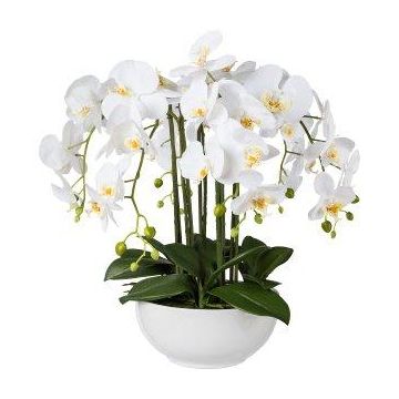 Orchidea Phalaenopsis artificiale KASDA, vaschetta in ceramica, radici, bianca, 55cm Orchidea Phalaenopsis artificiale KASDA, vaschetta in ceramica, radici, bianca, 55cm