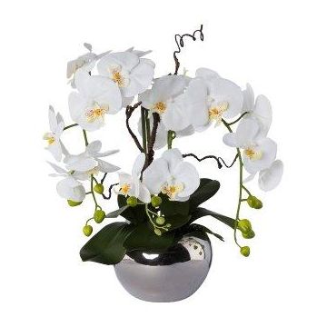 Composizione di orchidee artificiali e salice a spirale LULUDI, vaso in ceramica argento, radici bianche, 55cm Composizione di orchidee artificiali e salice a spirale LULUDI, vaso in ceramica argento, radici bianche, 55cm