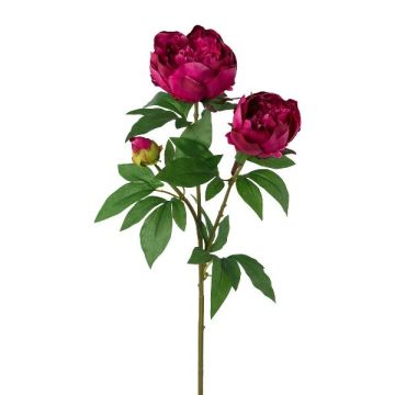 Ramo di peonia artificiale SLORVE, cerise, 70 cm Ramo di peonia artificiale SLORVE, cerise, 70 cm