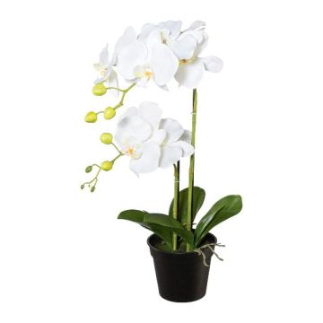 Orchidea Phalaenopsis artificiale WENJAN, vaso decorativo, radici, bianca, 55 cm Orchidea Phalaenopsis artificiale WENJAN, vaso decorativo, radici, bianca, 55 cm