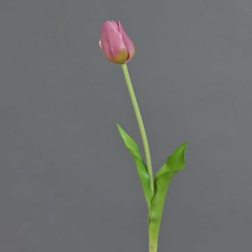 Tulipano artificiale LONA, lilla-verde, 45 cm, Ø 4 cm Tulipano artificiale LONA, lilla-verde, 45 cm, Ø 4 cm