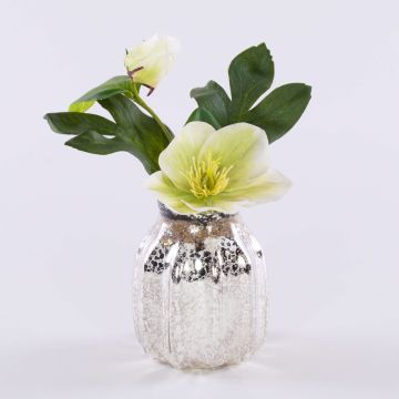 Fiore artificiale rosa di Natale WINFRIEDA in vaso di vetro, crema-verde, 20cm