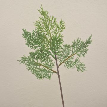 Ramo di cedro finto BALTHILDE, verde, 40 cm Ramo di cedro finto BALTHILDE, verde, 40 cm