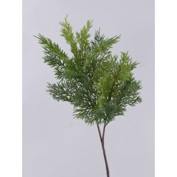 Ramo di cedro artificiale BALTHILDE, verde, 80 cm