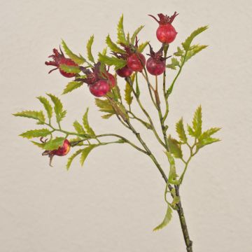 Ramo di rosa canina artificiale VIVEKA con cinorrodi, rosso, 45cm Ramo di rosa canina artificiale VIVEKA con cinorrodi, rosso, 45cm