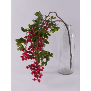 Ramo decorativo di rosa selvatica WARUNA con cinorrodi, rosso, 85 cm Ramo decorativo di rosa selvatica WARUNA con cinorrodi, rosso, 85 cm