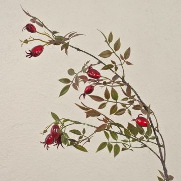 Ramo di rosa selvatica artificiale WARDALIA con cinorrodi, rosso, 95 cm Ramo di rosa selvatica artificiale WARDALIA con cinorrodi, rosso, 95 cm